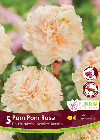 Narcissus ‘Pom Pom Rose’