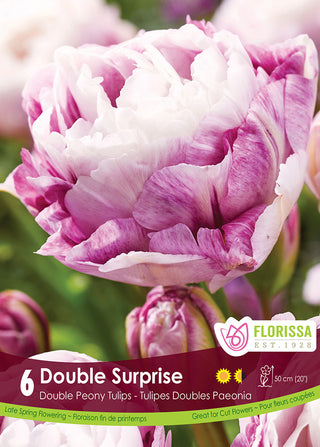 Tulip 'Double Surprise'
