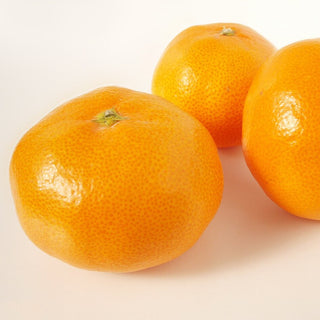 Okitsu Wase Satsuma Mandarin (Citrus unshiu)