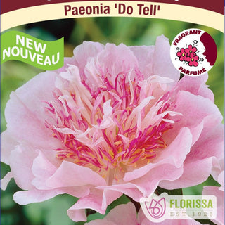 Peony Do Tell