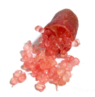 Finger Lime - ‘Pink Pearl’
