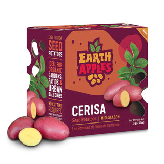 Potato ‘Cerisa’ - Earth Apples Seed Potatoes