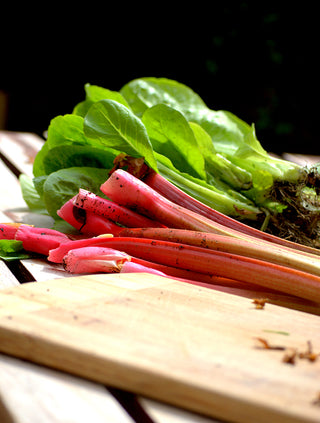 Rhubarb 'Crimson Cherry'