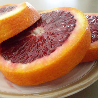 Tarocco Blood Orange (Citrus x sinensis) 