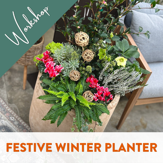 Create A Festive Winter Planter - November 7 (10:30AM)