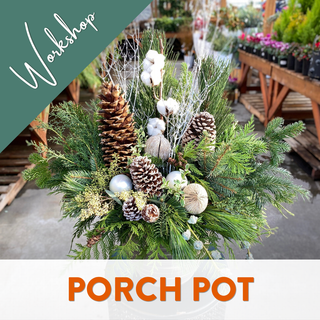 Create a Fresh and Festive Holiday Porch Pot - November 12 (6:30PM)