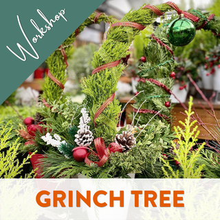 Build a Grinch Tree and Meet the Grinch - December 5 (10:30AM)