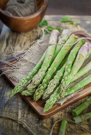Asparagus 'Equinox'