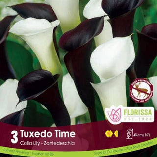 Calla Lily Tuxedo Time