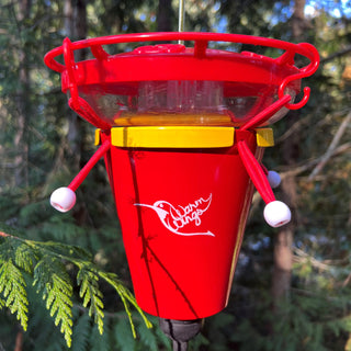 Rufous Hummingbird Feeder Heater