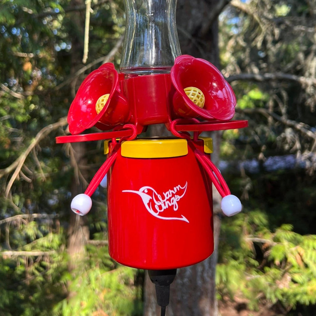 Preorder Ruby Hummingbird Feeder Heater | Amsterdam Garden Centre