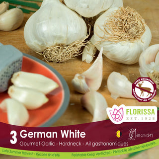German White Garlic (3/pkg)