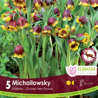 Fritillaria Michailowsky (5/package)