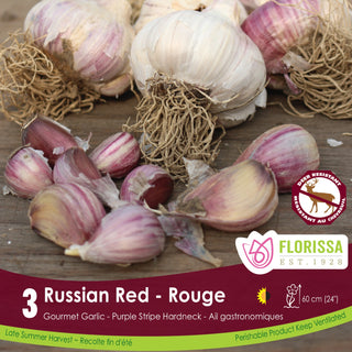 Russian Red Garlic
